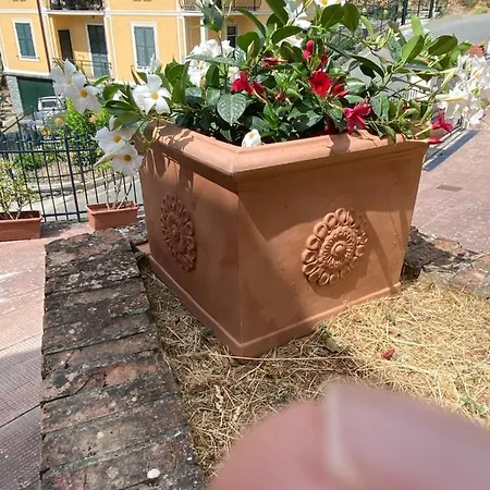 Fieschi * Cogorno